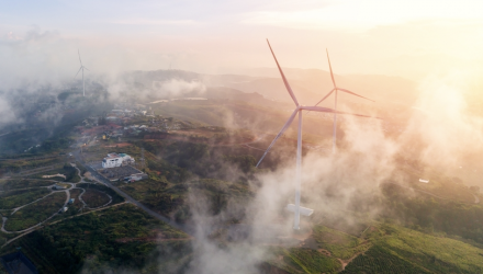 The Fog of the Energy Shock